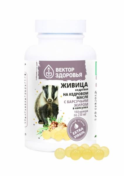 Изображение товара Живица кедровая на кедровом масле с Барсучьим жиром Вектор Здоровья 150 капсул Живица кедровая на кедровом масле с Барсучьим жиром Вектор Здоровья 150 капсул фотография